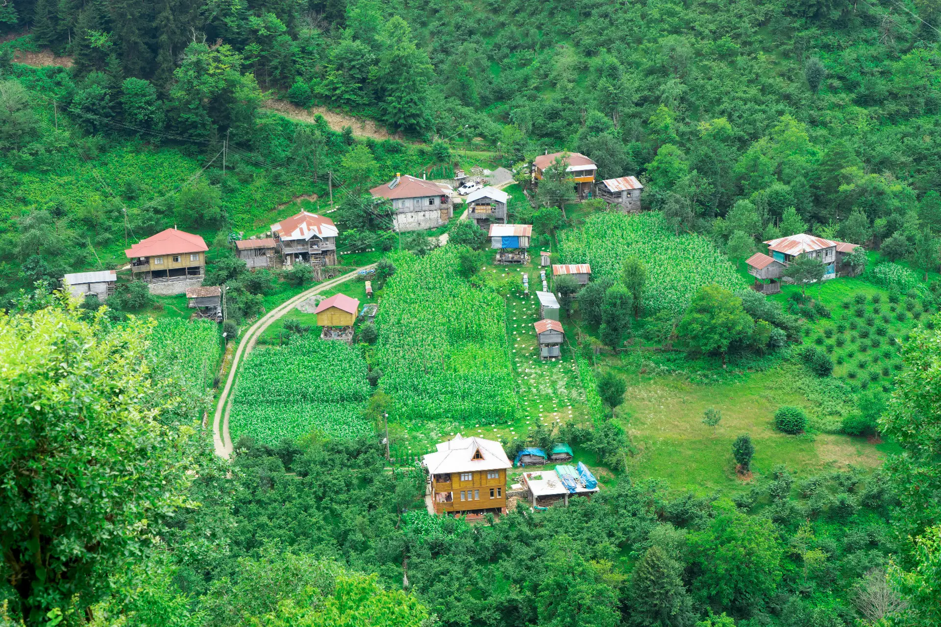 Artvin