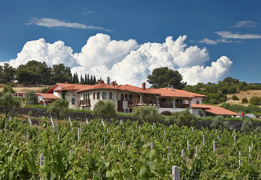 Vineyard Houses and Hotels
