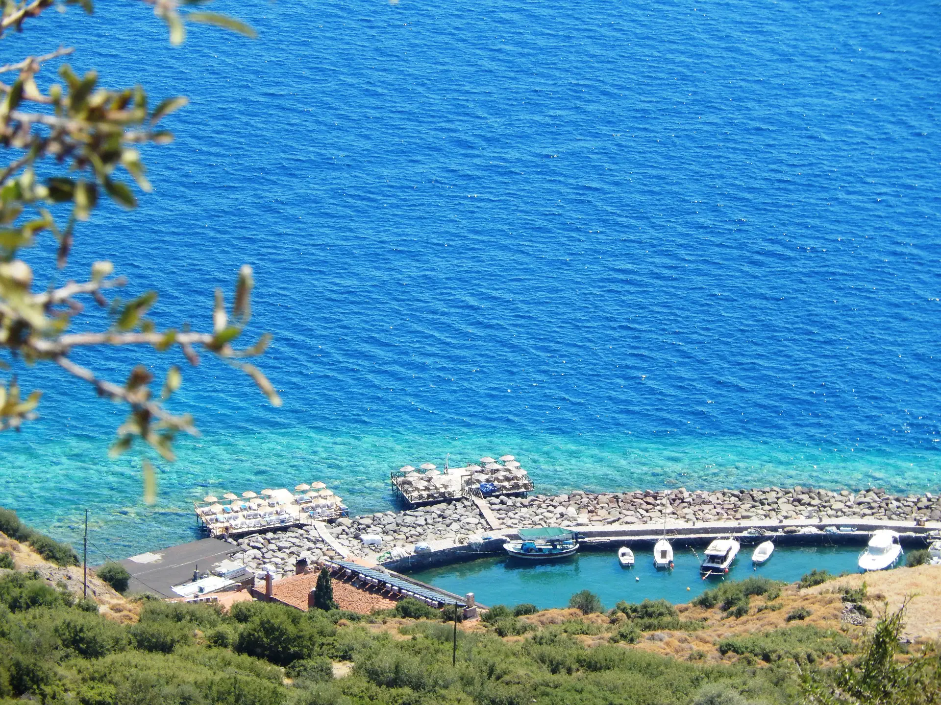 Assos 