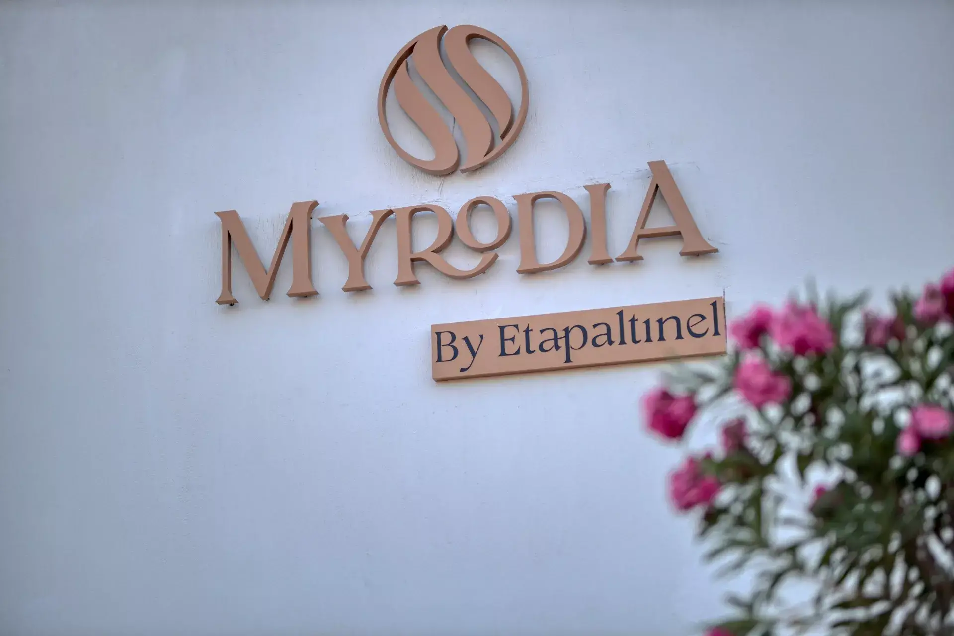Myrodia By Etapaltınel