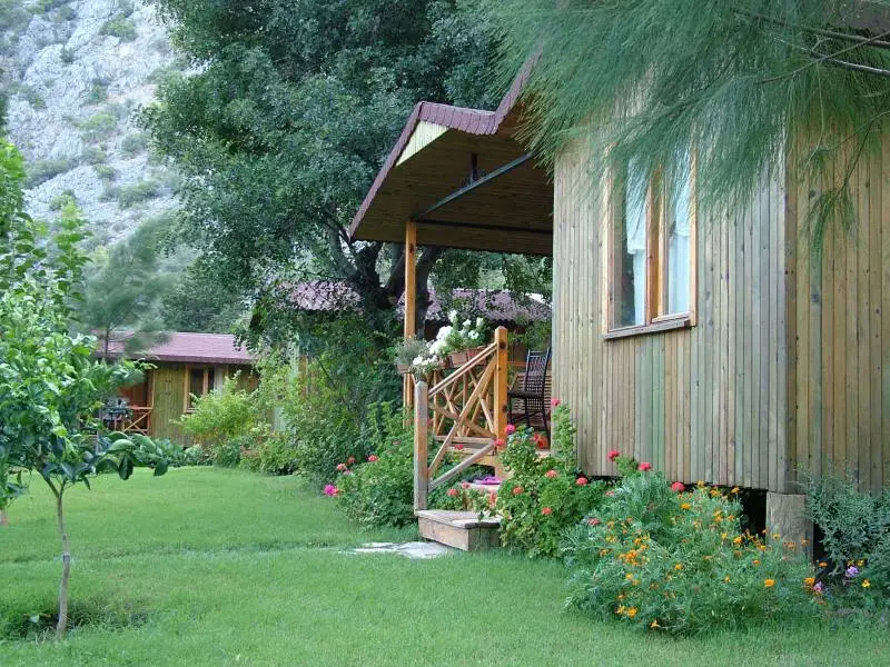 Tree House and Bungalow Concept Hotels